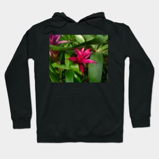 Hot Pink and Green Plants Hoodie